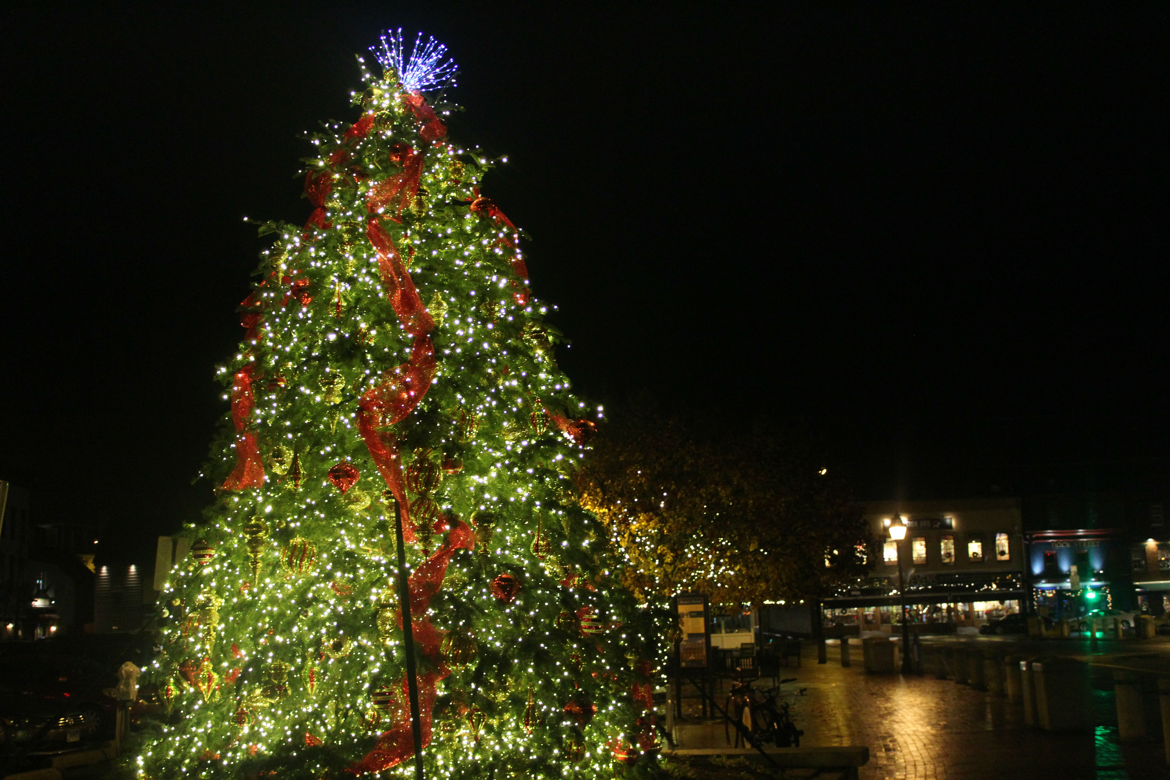 A visit to Annapolis is a must this holiday season DC Refined