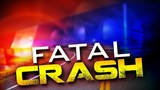 Elizabethton man killed in single-vehicle crash