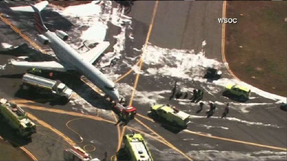 Plane hits deer in Charlotte WPEC