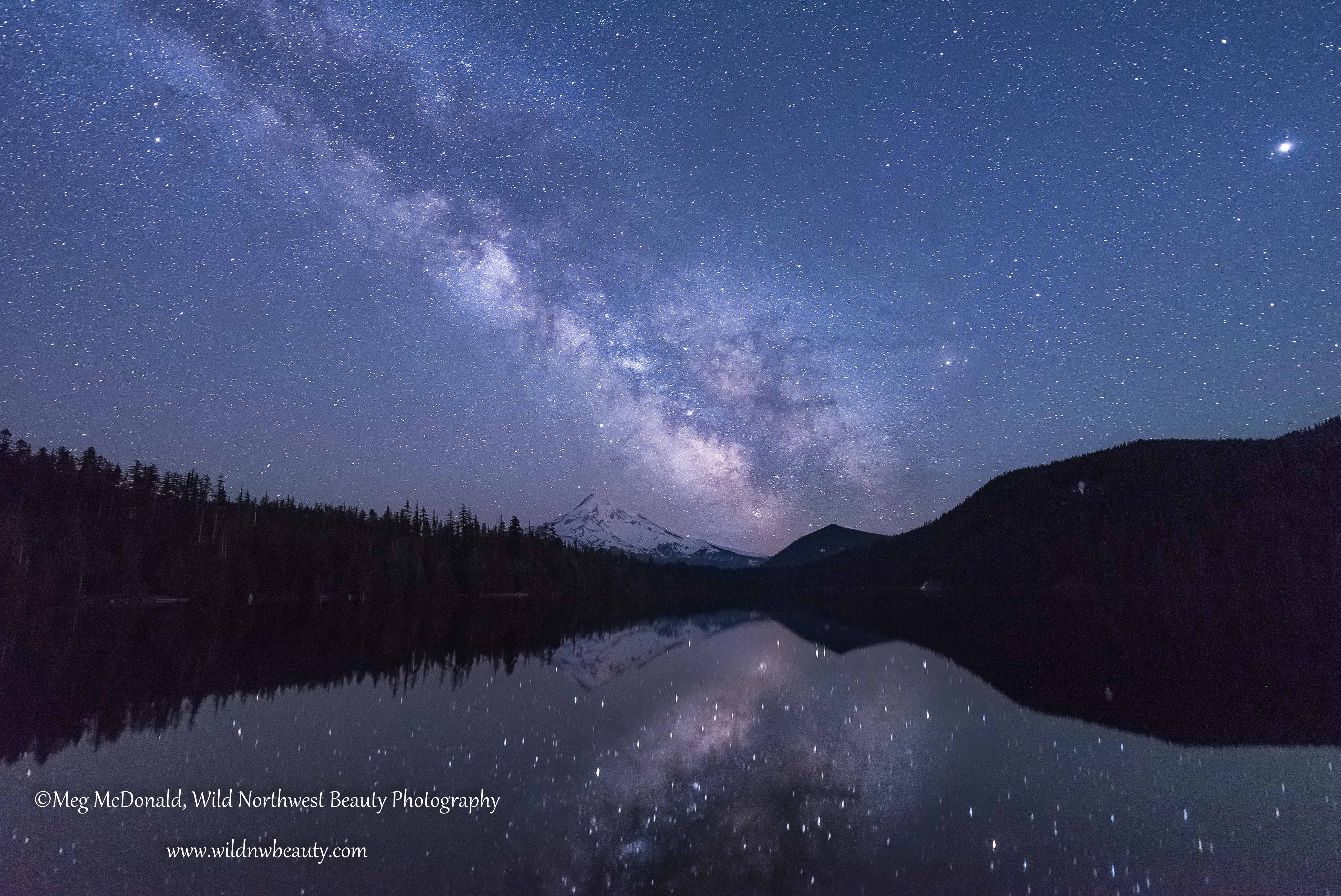 Milky Way Galaxy Under Moonlight Time Lapse In South Sky Pine Forests