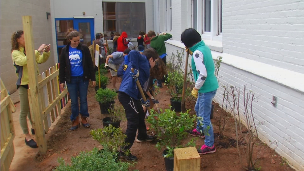 Claxton Elementary project has school buzzing WLOS