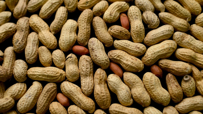 Preventive treatment for peanut allergies succeeds in study