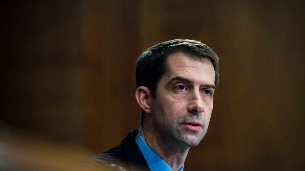 Senator Tom Cotton releases statement on Biden's vice president pick