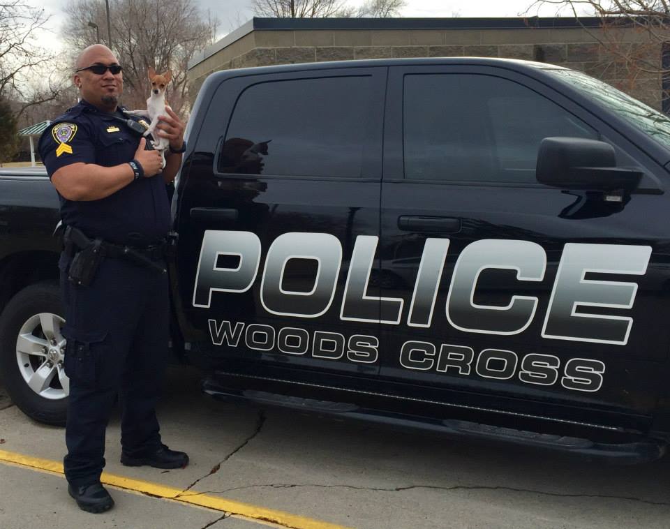 Woods Cross police therapy dog badly injured, cops nursing him back to