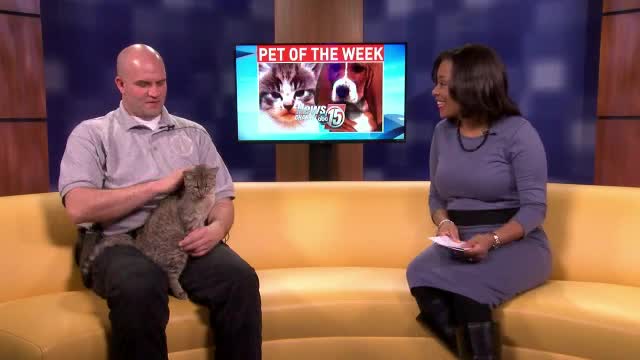 Pet of the Week: Prissy