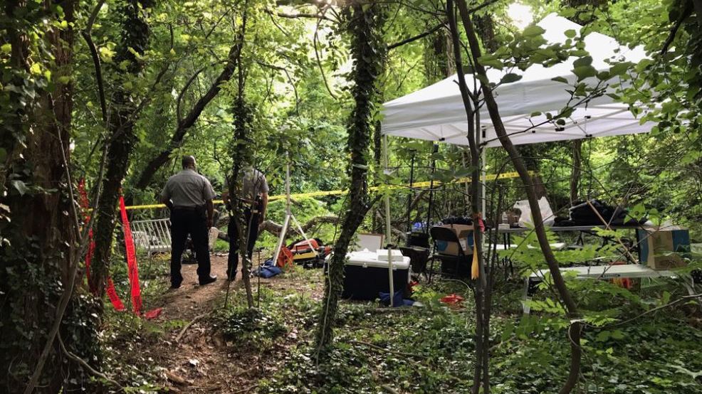 Body Found Buried In The Woods In Hybla Valley Area Police Believe It