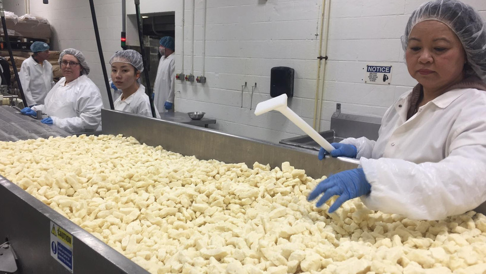 Inside look at the production of cheese curds WLUK