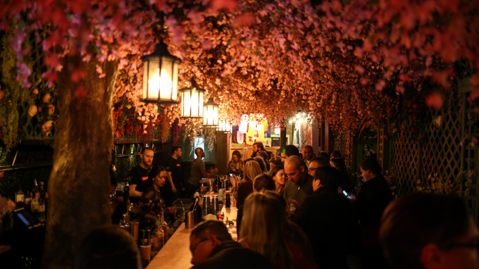 The Cherry Blossom PopUp Bar in D.C. opens tonight WJLA