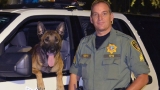 Official: Friendly fire killed Vegas police K-9 in gunbattle