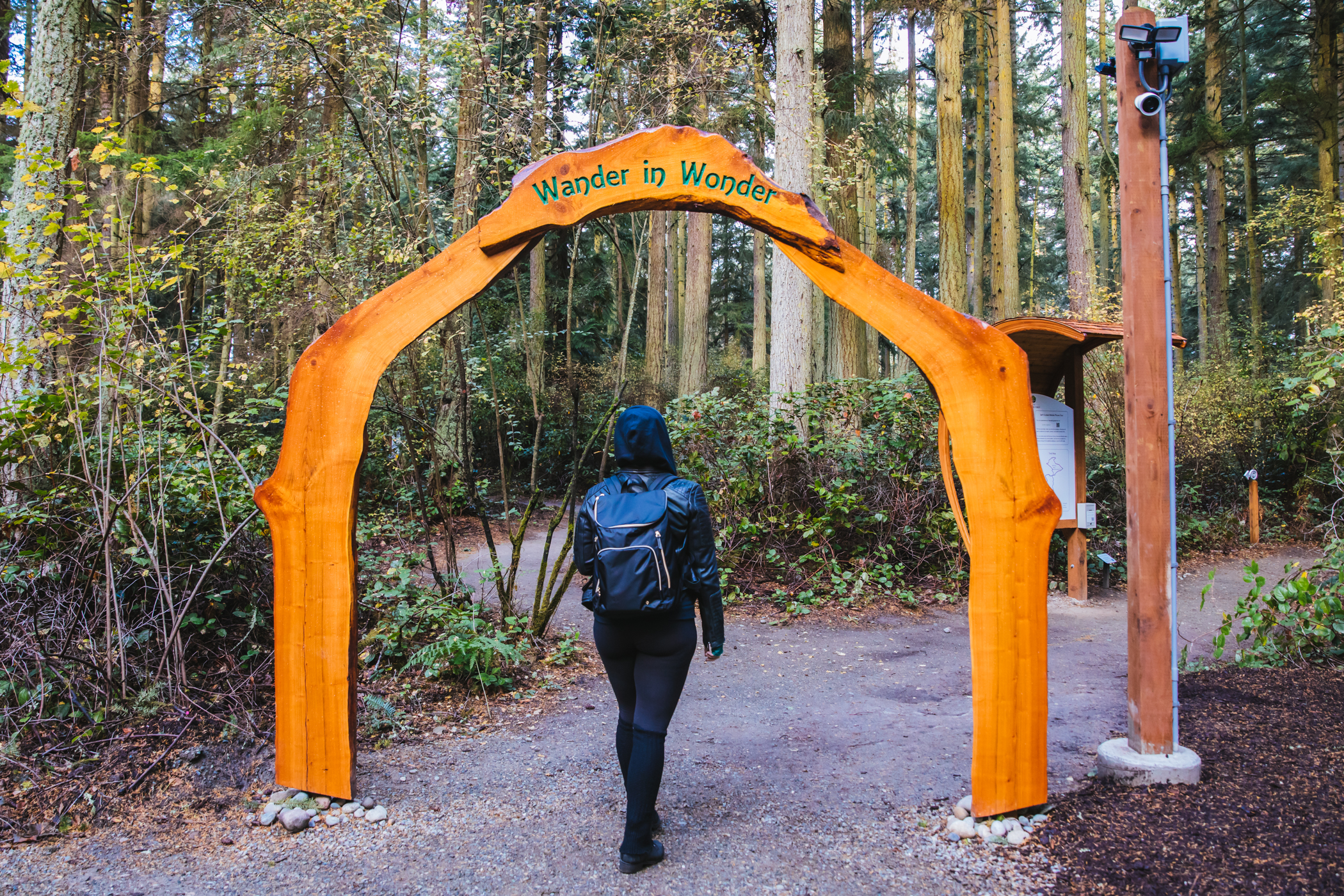 Photos New sculpture forest opens on Whidbey Island Seattle Refined