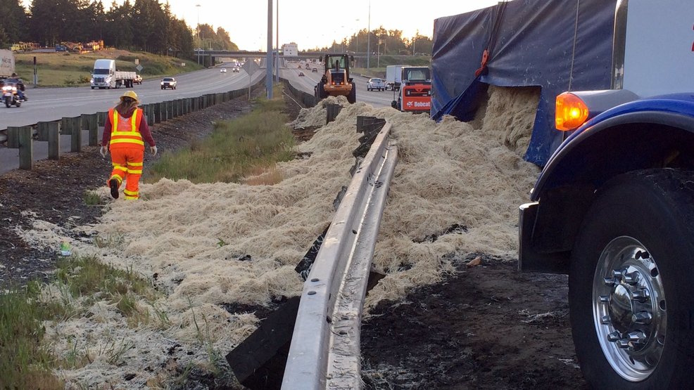 Semi crash spills 40,000 pounds of chicken feathers on I-5 near Seattle dn 23 feather truck rollover3.jpg