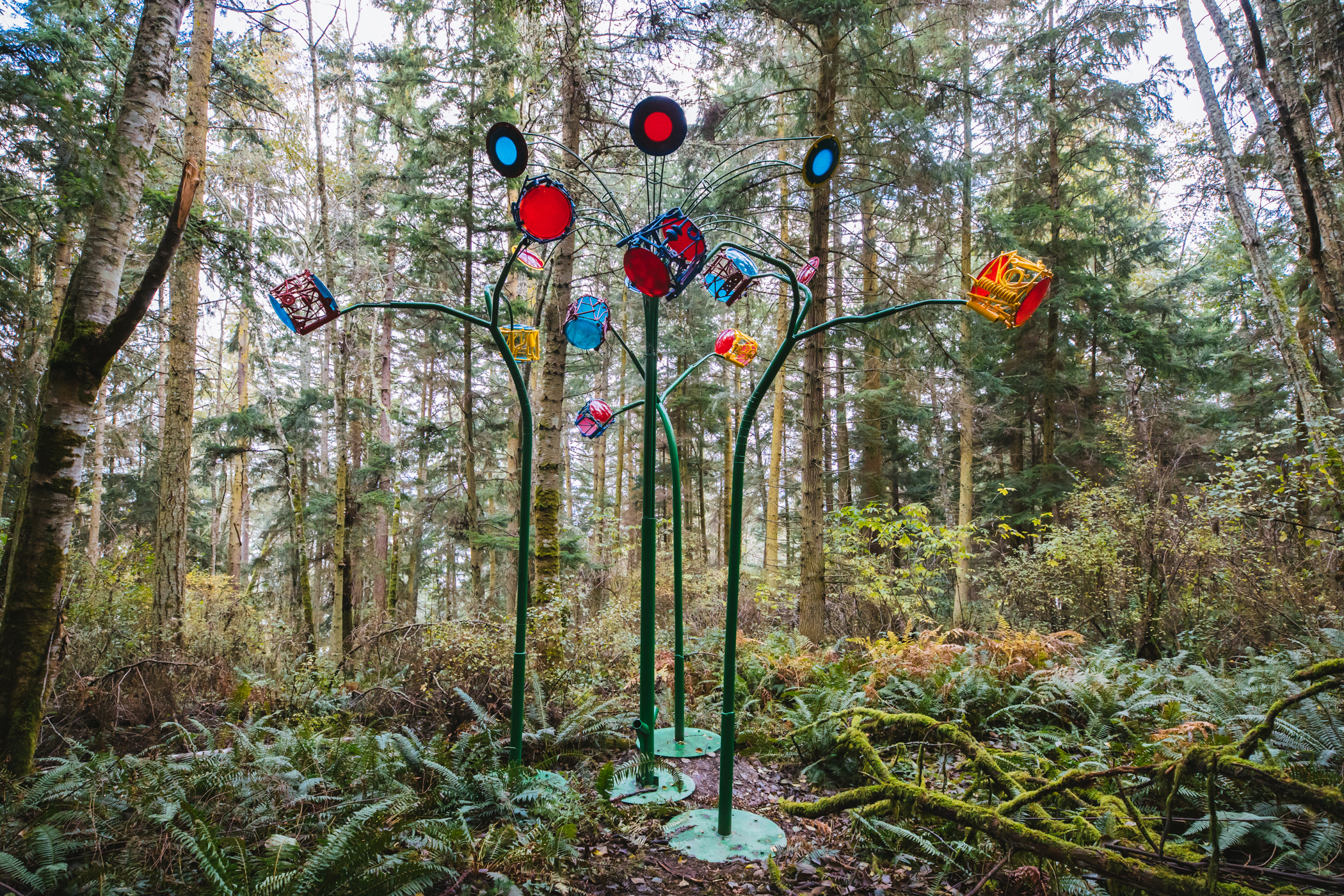 Photos New sculpture forest opens on Whidbey Island Seattle Refined