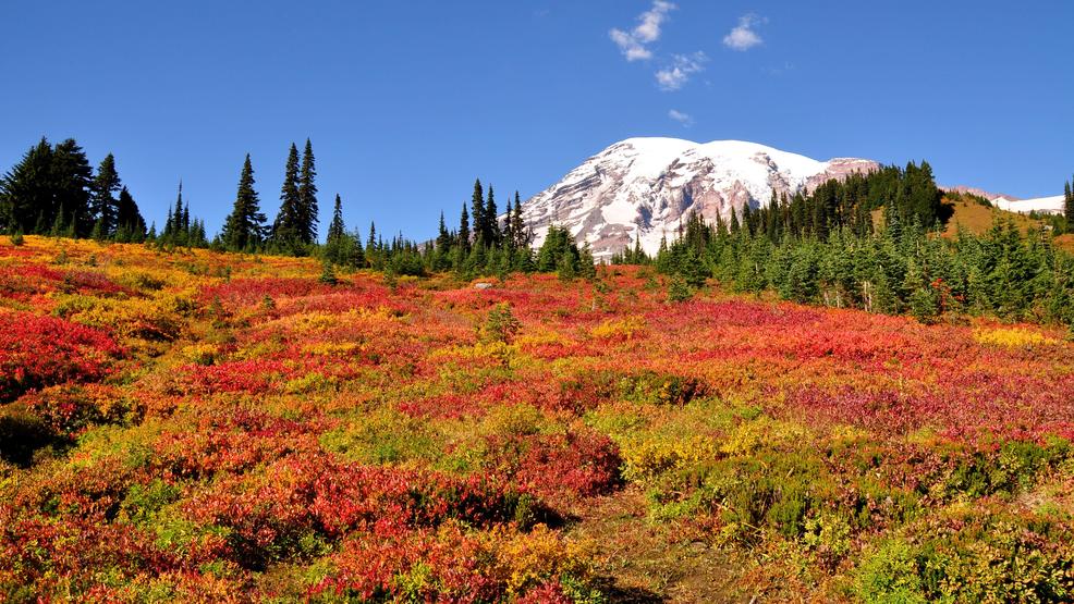 These are our favorite spots for Fall foliage Seattle Refined