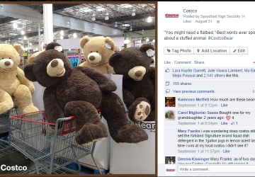 xl teddy bear costco