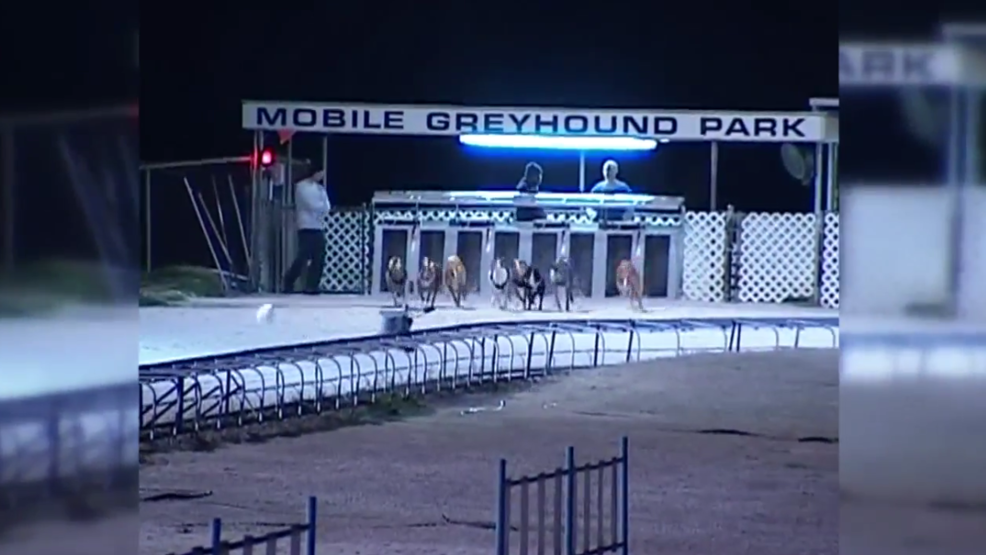 Mobile Greyhound