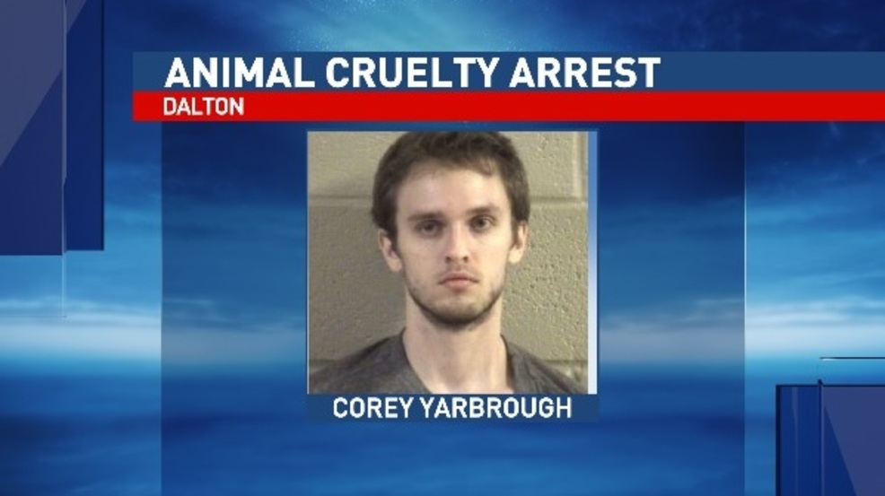 Dalton Man Arrested For Animal Cruelty After Dog Found Hanging From ...