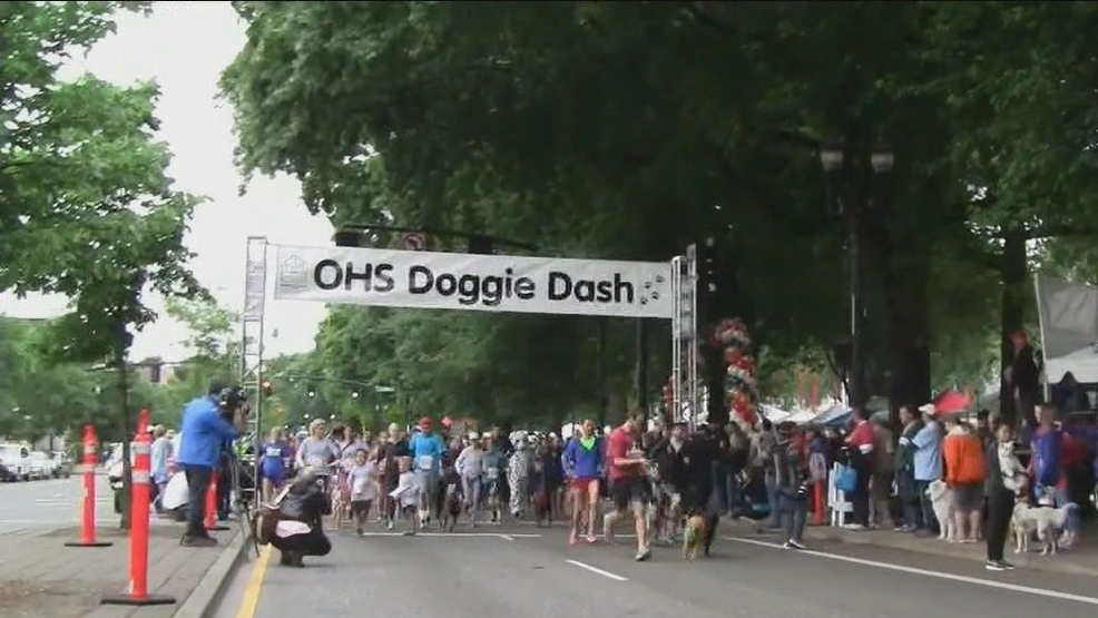 OHS DOGGIE DASH.jpg