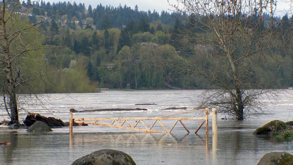 Willamette River levels rise, bringing large logs and debris downstream