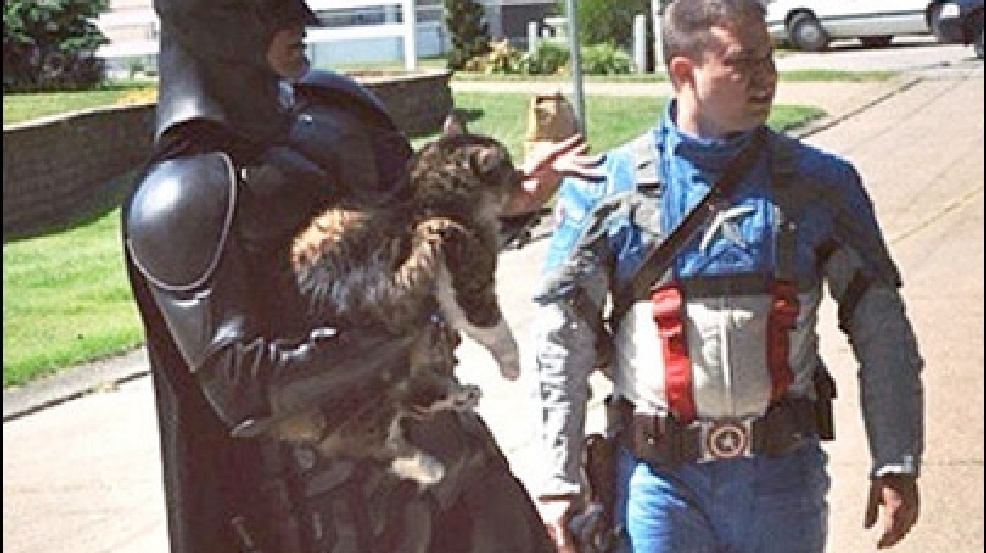130910_cat_rescue.jpg