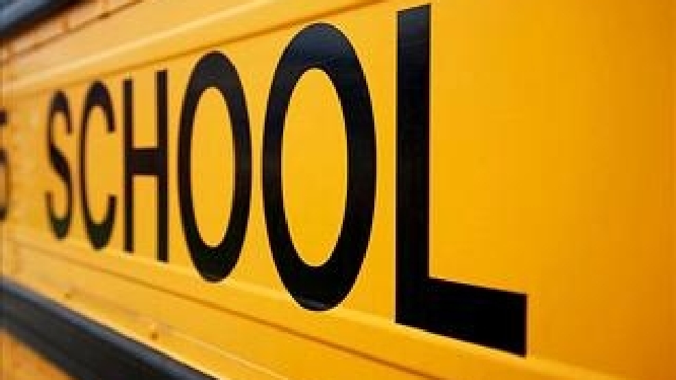 school%20bus%20gfx.jpg