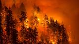 Eagle Creek Fire causes Multnomah County chair to issue emergency declaration 