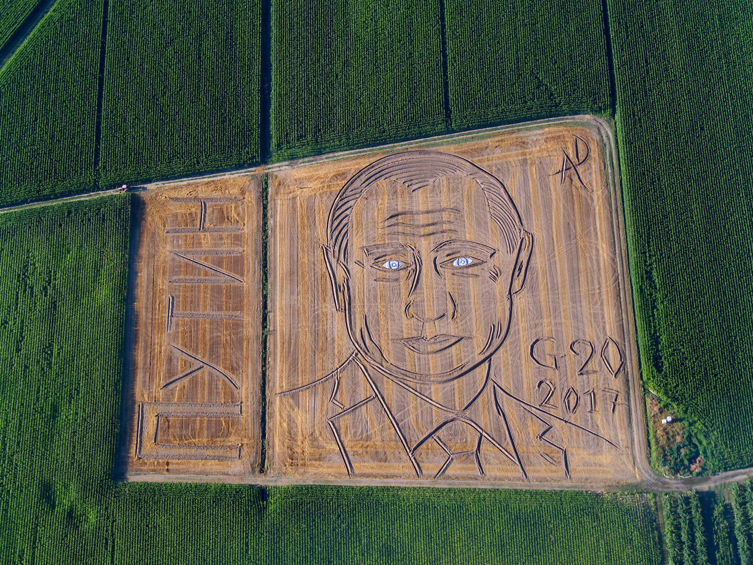 Italian farmer turned the field into a huge portrait of Putin Italian farmer turned the field into a huge portrait of Putin